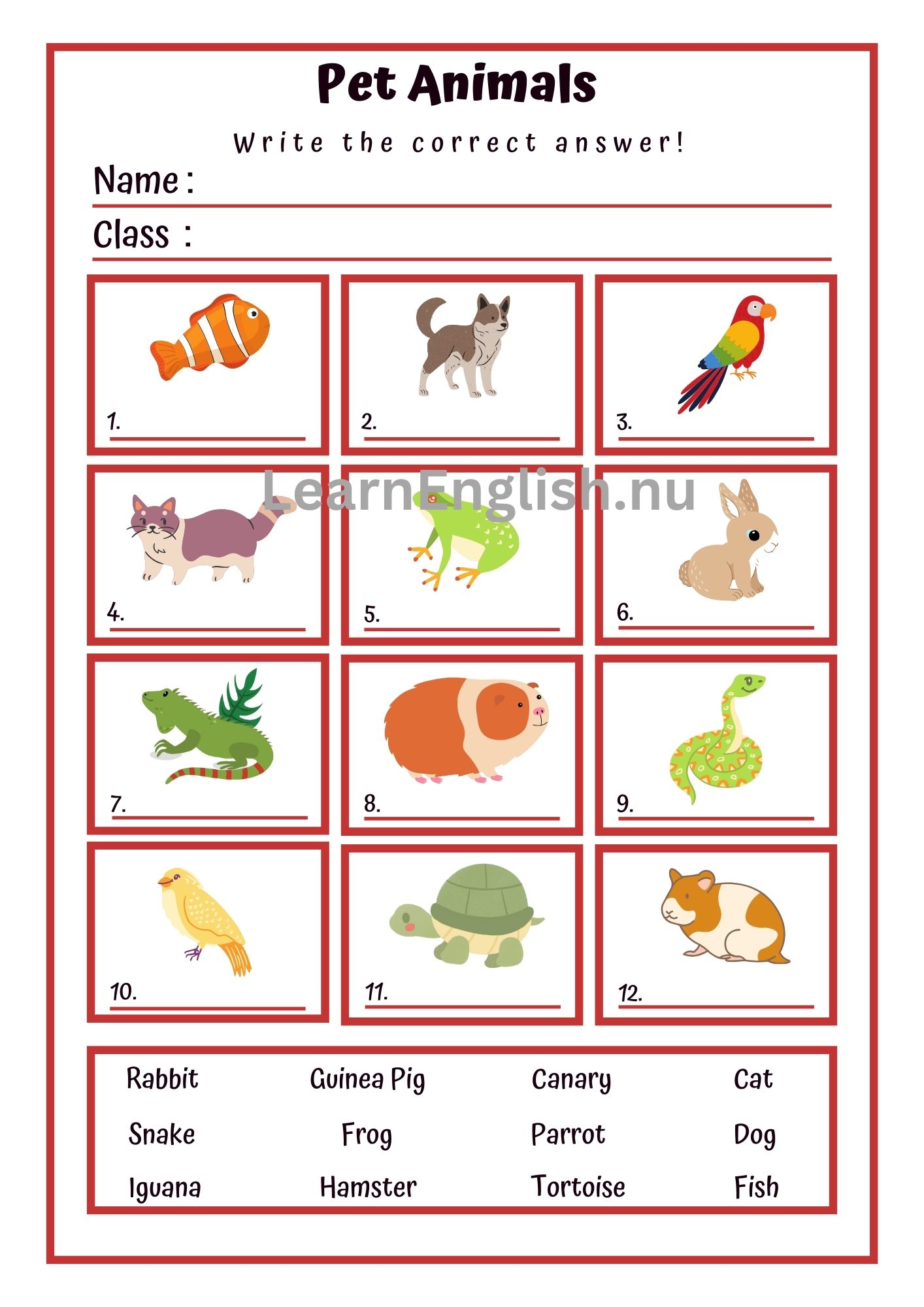 اسماء الحيوانات الاليفة بالانجليزي بالصور والصوت